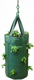 Изображение загружено обработкой по данным файла Excel