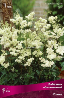 Изображение загружено обработкой по данным файла Excel