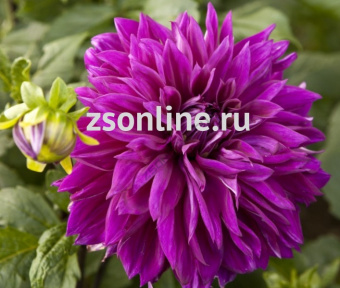 Изображение загружено обработкой по данным файла Excel