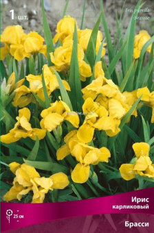 Изображение загружено обработкой по данным файла Excel