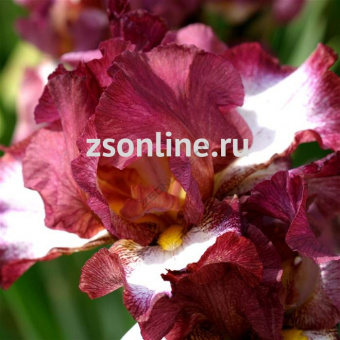 Изображение загружено обработкой по данным файла Excel