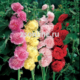 Изображение загружено обработкой по данным файла Excel