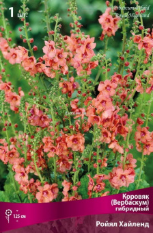 Изображение загружено обработкой по данным файла Excel