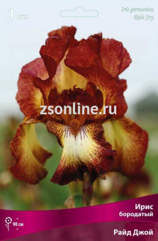 Изображение загружено обработкой по данным файла Excel