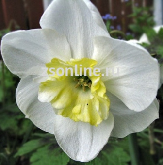 Изображение загружено обработкой по данным файла Excel