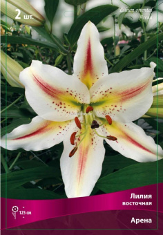 Изображение загружено обработкой по данным файла Excel