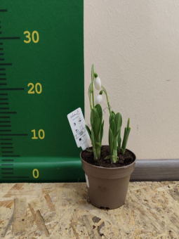 57ac8fd4-18b7-4970-b370-19924a49beae