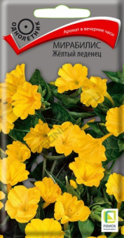 mirabilis_zhelty_ledenets