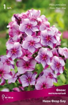 floks_metelch_neon_fler_blu_kaper