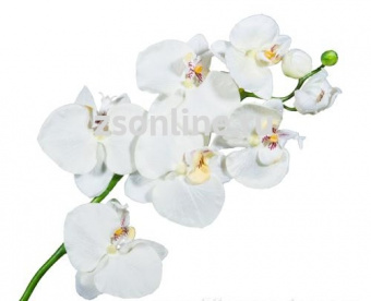 Искусственное растение Фаленопсис белый 74 см
