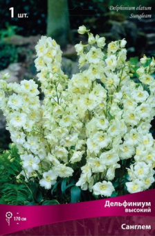 Дельфиниум высокий Санглем, 1 шт
