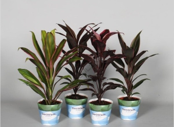 f9de98d4db1049a6d5f09843e9d1699b