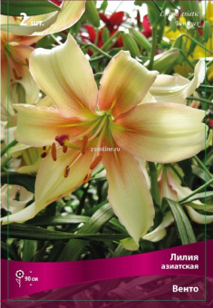 Изображение загружено обработкой по данным файла Excel