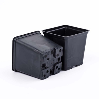 3kFUjFGTiFEQfNqxLlF5-0