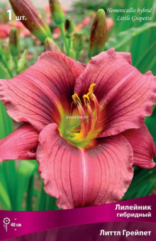 Изображение загружено обработкой по данным файла Excel