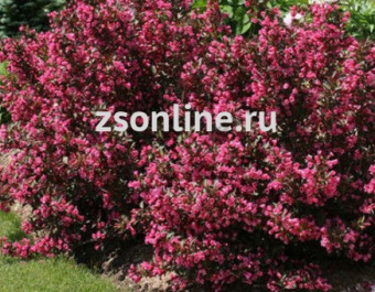 Изображение загружено обработкой по данным файла Excel