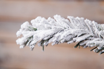 Ель Атландита Triumph Tree 74345 заснеженная, 260 см 2