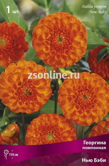 Изображение загружено обработкой по данным файла Excel