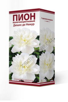 Пион молочноцветковый Дюшес де Немур 2-3/К
