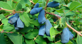 5c7fab04705e9f9203e026ad316f2a6b