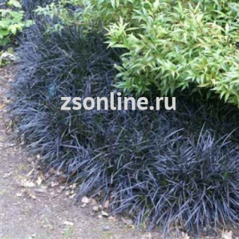 Изображение загружено обработкой по данным файла Excel