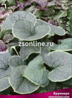 Изображение загружено обработкой по данным файла Excel