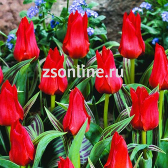 Изображение загружено обработкой по данным файла Excel