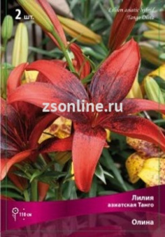 Изображение загружено обработкой по данным файла Excel