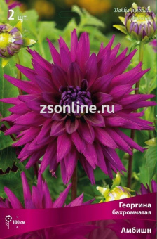 Изображение загружено обработкой по данным файла Excel