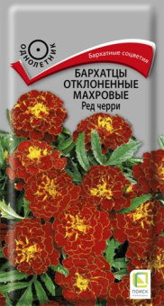 barhatsy_otklon_mahrov_red_cherry