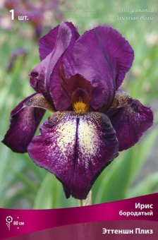 Изображение загружено обработкой по данным файла Excel