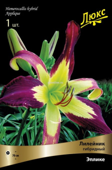 Изображение загружено обработкой по данным файла Excel