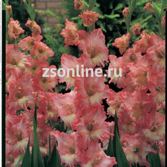 Изображение загружено обработкой по данным файла Excel