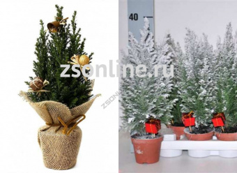 Изображение загружено обработкой по данным файла Excel