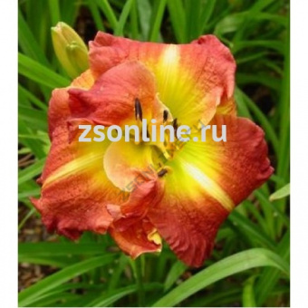 Изображение загружено обработкой по данным файла Excel