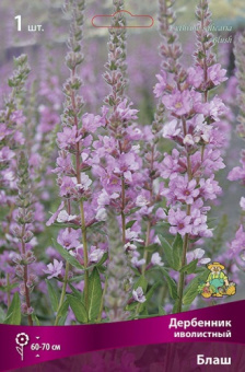Дербенник иволистный Блаш/К