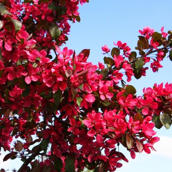 5a2ec066-38c0-11ec-b3a6-bcee7b726e29_82e940ec-8fc6-11ec-b3aa-bcee7b726e29