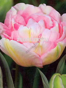 Изображение загружено обработкой по данным файла Excel