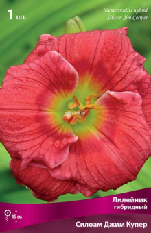 Изображение загружено обработкой по данным файла Excel