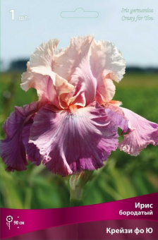 Изображение загружено обработкой по данным файла Excel