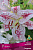 Лилия Восточная Солюшн, белый с легким розовым кантом, малиновыми мазками, 2 шт
