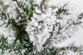 Ель Атландита Triumph Tree 74345 заснеженная, 260 см 3