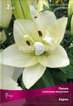 Изображение загружено обработкой по данным файла Excel