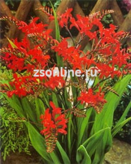 Изображение загружено обработкой по данным файла Excel