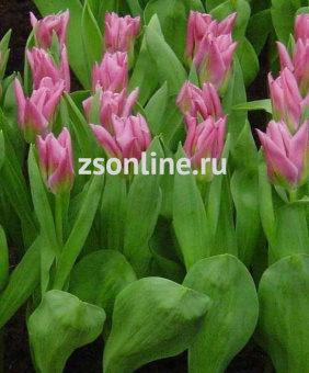 Изображение загружено обработкой по данным файла Excel