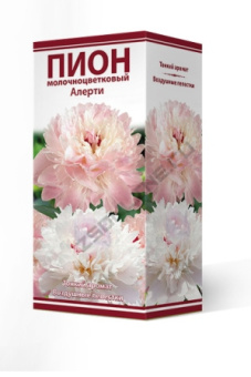 Пион молочноцветковый Алерти 2-3/К