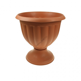 1009-010 Рюмка Gracja
