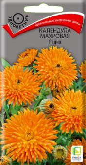 kalendula_mahrov_radio