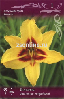 Изображение загружено обработкой по данным файла Excel