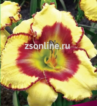 Изображение загружено обработкой по данным файла Excel